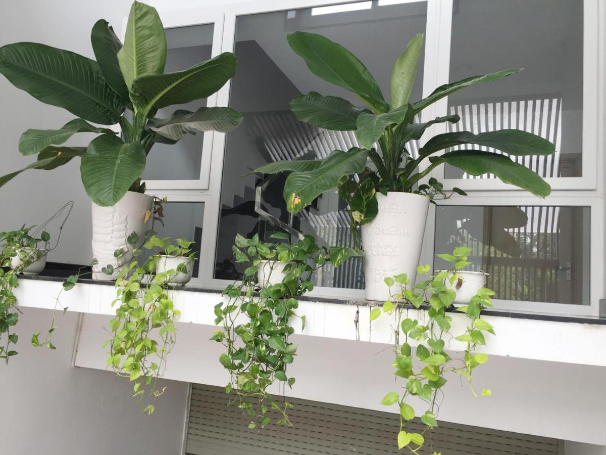 M-H5 Serviced Apartments Ho Chi Minh-staden Exteriör bild